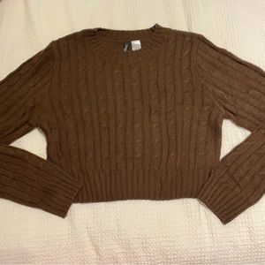 H&M Brown Sweater